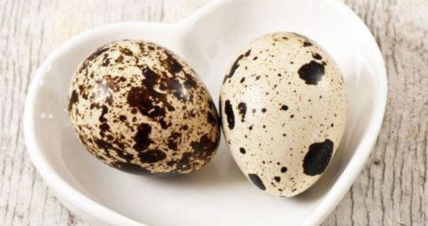 Trứng cút lộn bao nhiêu calo? Lợi ích của trứng cút đối với sức khỏe