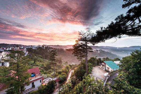 YOLO Camping House - Nơi lưu trú sở hữu view đồi thông tuyệt đẹp ở Đà Lạt