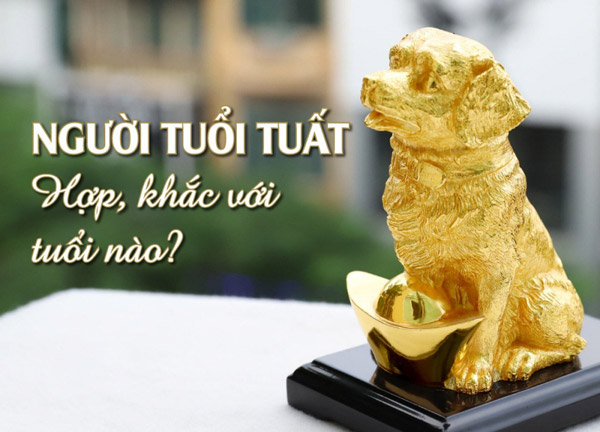 Màu nào phù hợp với tuổi Tuất, tuổi nào phù hợp nhất cho công việc làm ăn và hôn nhân?
